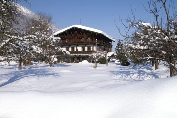 Hotel Alpenhof